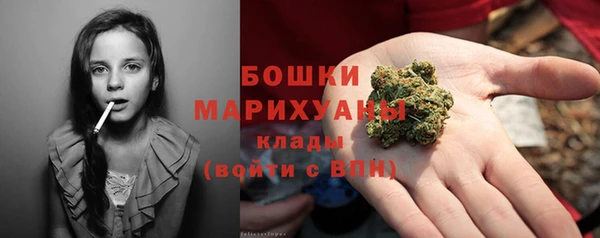 винт Белокуриха
