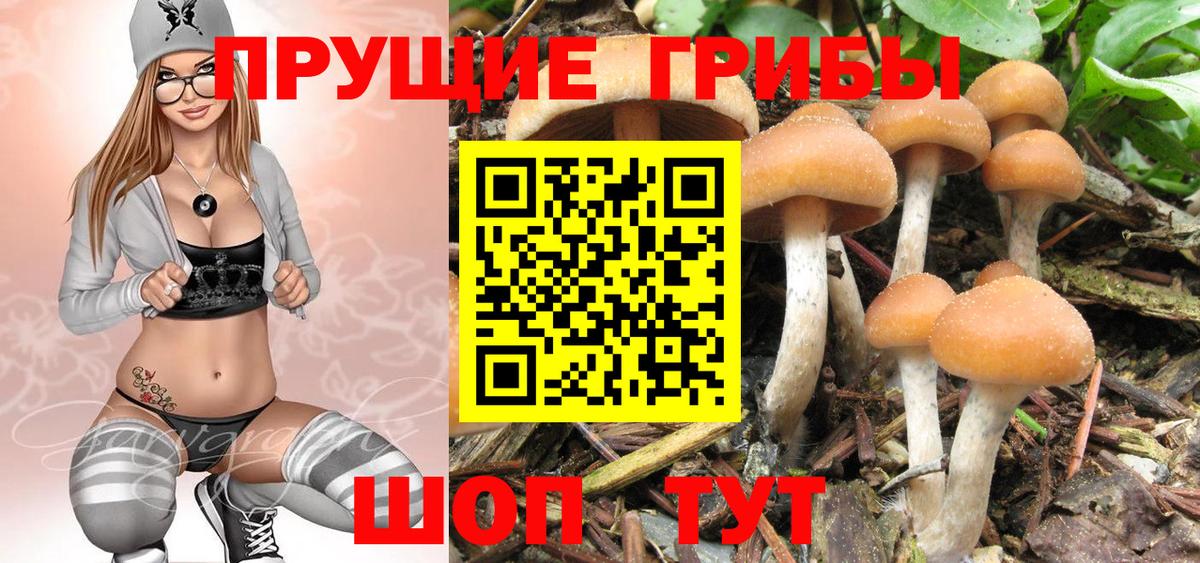 Псилоцибиновые грибы мицелий Кушва
